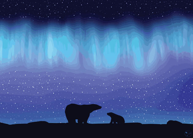 Polar Love Polar Love