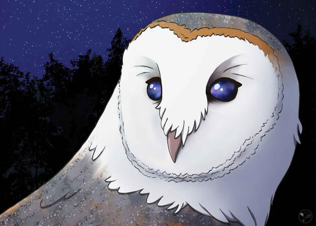 The Space in Your Eyes